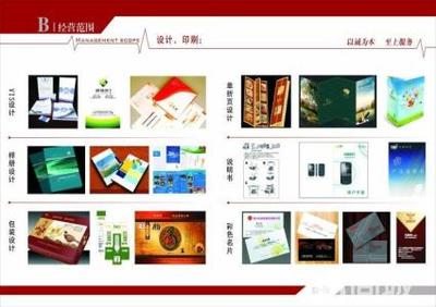 凯蒂广告传媒 品牌故事与行业洞察